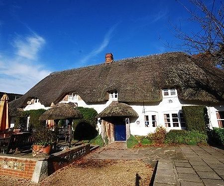 The Hatchet Inn Chute Экстерьер фото