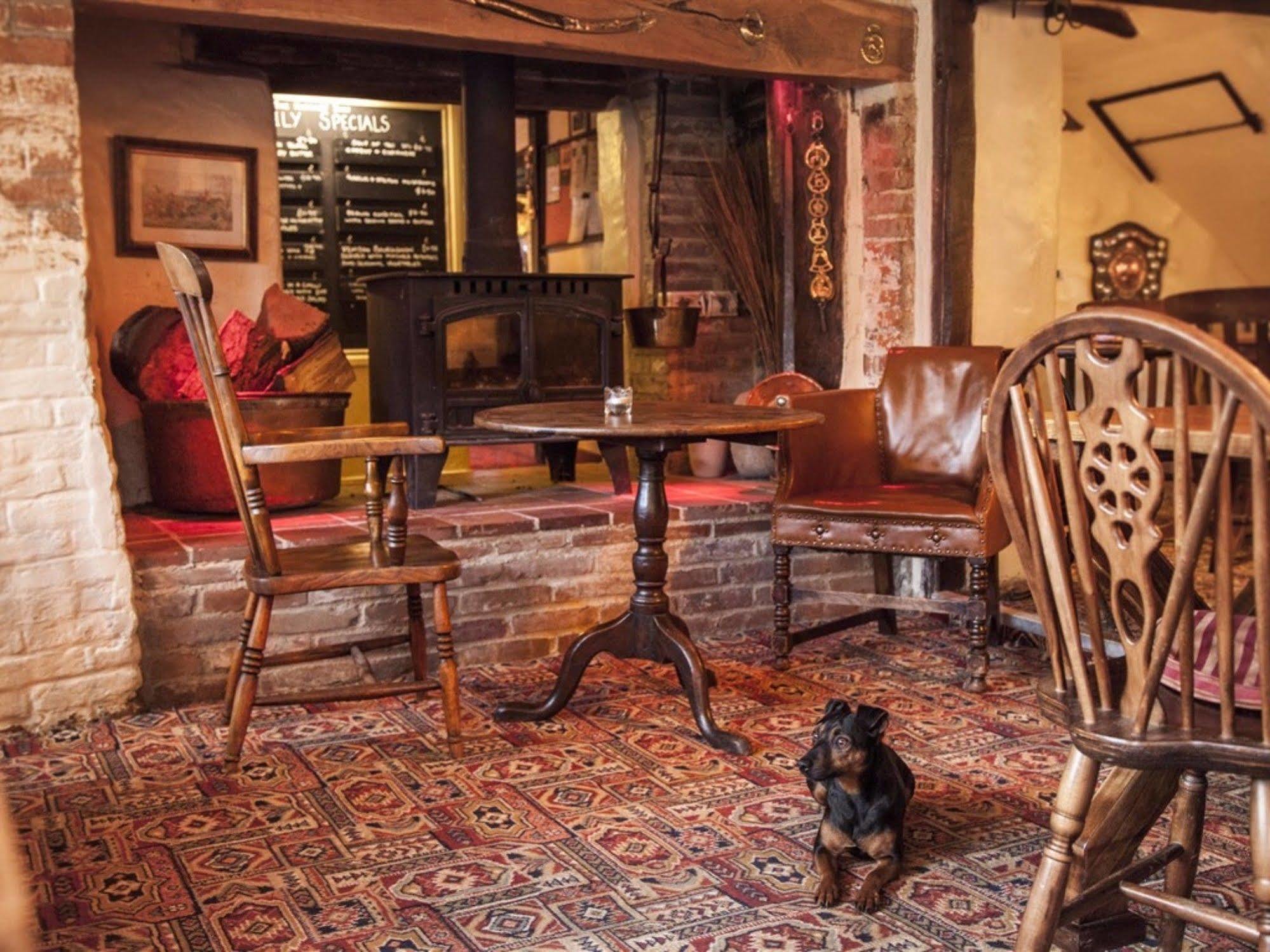 The Hatchet Inn Chute Экстерьер фото