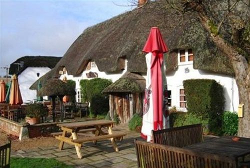 The Hatchet Inn Chute Экстерьер фото